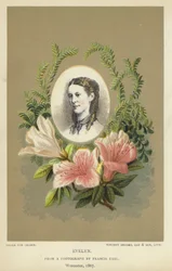 Evelyn